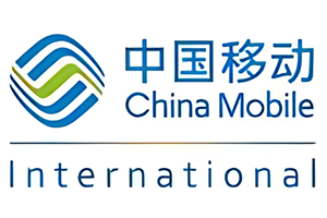 China Mobile International (Singapore) Pte Ltd